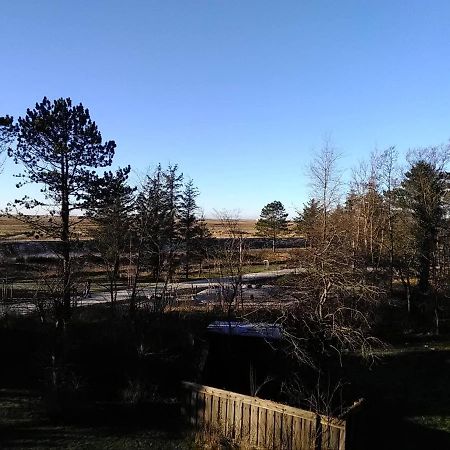 Seeperle 5, Stilvolle Fewo Mit Nordseeblick Apartman Sankt Peter-Ording Kültér fotó